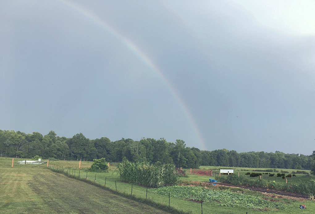 Welcome to Bluegrass Bounty Farm in Frankfort, Kentucky